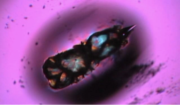 Read more about the article How batch stones appear under a microscope in polarized light, a fast identification method