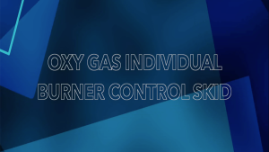 Read more about the article Oxy-gas individual burner control skid