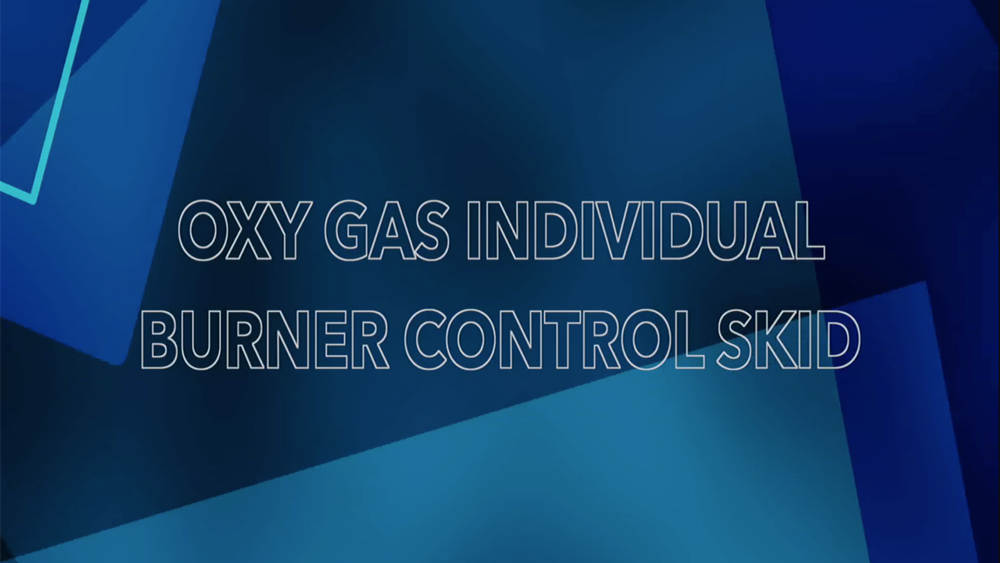Oxy-gas individual burner control skid